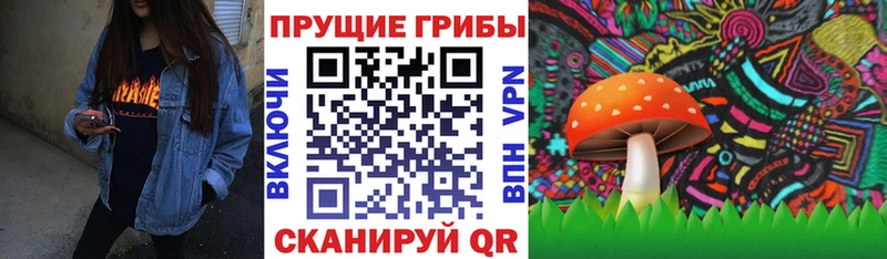 Псилоцибиновые грибы ЛСД  MEGA рабочий сайт  Михайлов  магазин продажи  